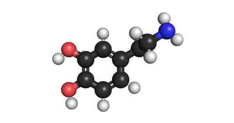 Dopamine neurotransmitter molecule 3D render chemical structure 4K seamless loop Stock Footage 155721157