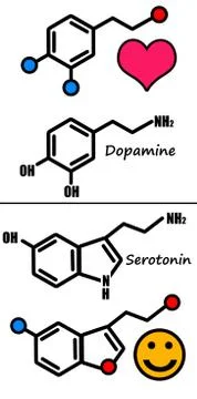 Dopamine serotonin Stock Illustration