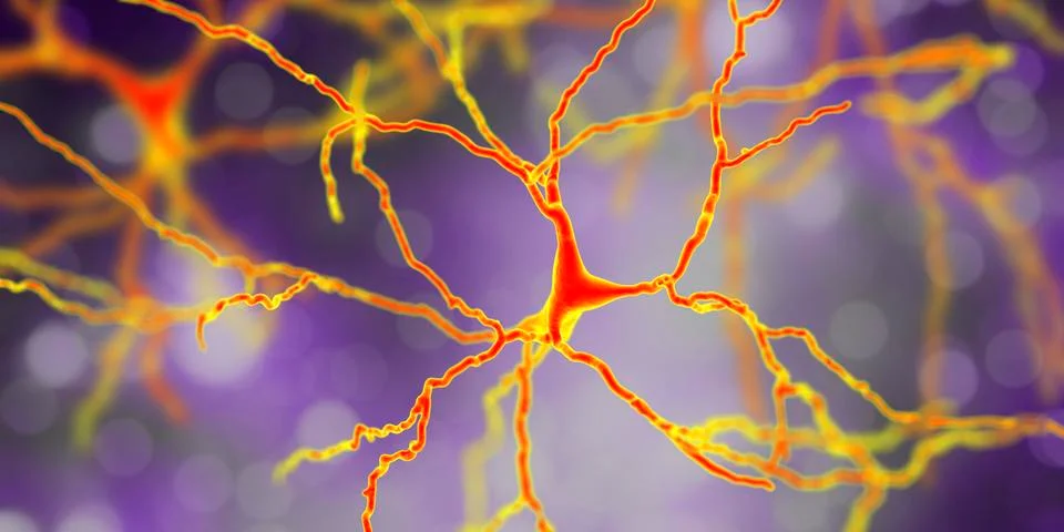 Dopaminergic neuron, computer reconstruction Illustrazione stock