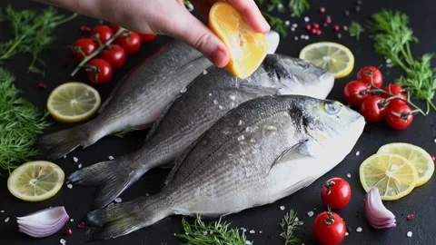 Dorado fish on black background Stock Footage 172399965