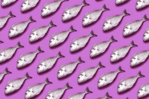 Dorado fish pattern Foto stock