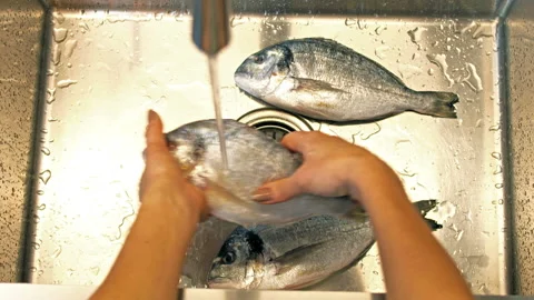 Dorado fish washing under running water Stock Footage 164648883