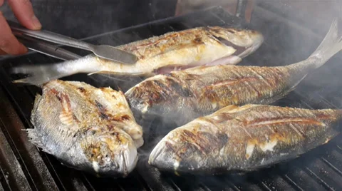 Dorado, Sea Bream, Gold mackerel, madai fish grilled over coals with rotating Stock Footage