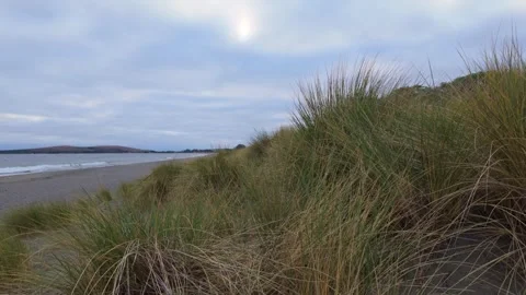 Doran beach sand dunes Stock Footage 282320620