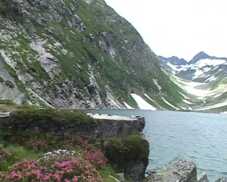 Dorfersee Vídeo Stock 71012