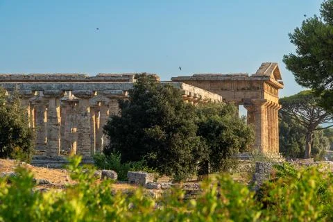 Doric temple ruin with columns behind dense green trees Stockfoto's
