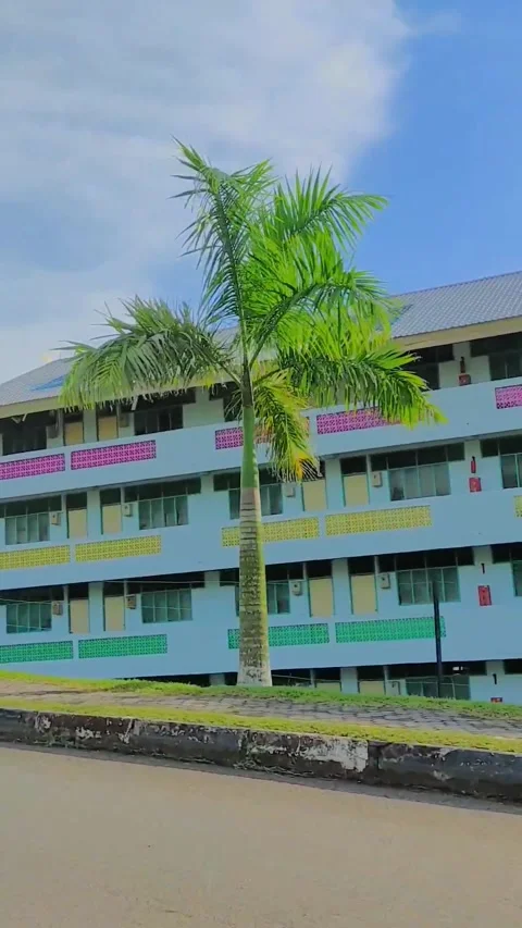 Dormitory Stock Footage 243473496