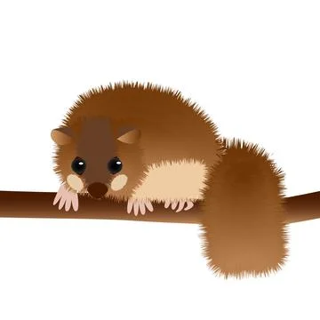 Dormouse sitting on branch vector illustration Stock Illustration