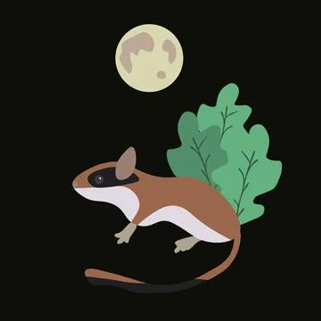 Dormouse vector illustration Stock Illustration