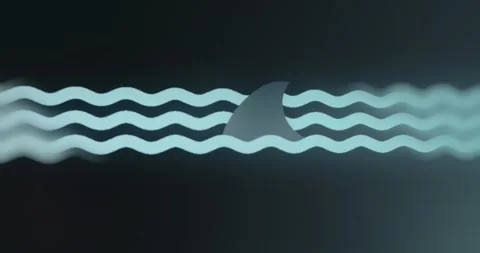 Dorsal fin of a shark Stock-Footage 313494087