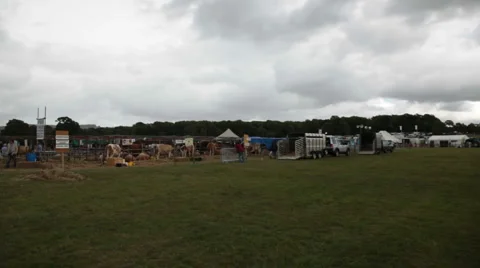 Dorset show cows 15 Stock Footage 6530059