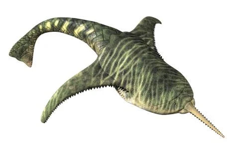 Doryaspis - Prehistoric Fish Stock-Illustration