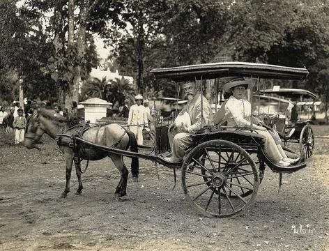 Of the DOS, Java, Einspänner Copyright: xpiemagsx dft65762 !ACHTUNG AUFNAH.. Stock-Fotos