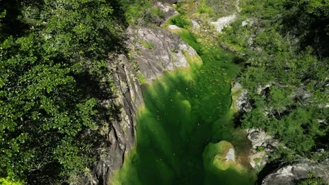 Dosaguas 26 動画素材 319916660