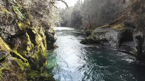 Dosewallips River flows through the Olympic National Park Video stock 107157956