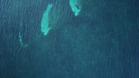 A dot in the deep ocean Stock Footage 140684732