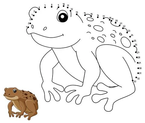 Dot to Dot Cane Toad Frog Animal Coloring Page Stock Illustration