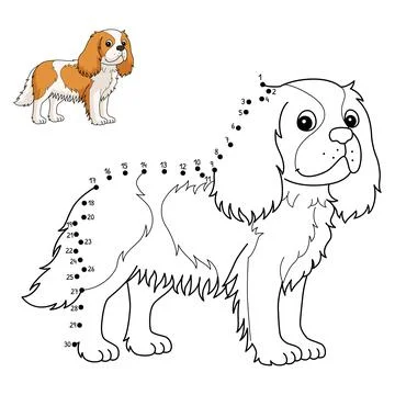 Dot to Dot Cavalier King Charles Spaniel Isolated Stock Illustration