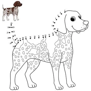 Dot to Dot German Shorthaired Pointer Dog Isolated Stock Illustration
