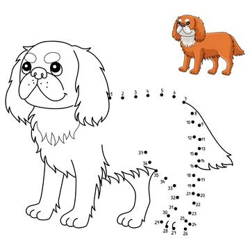 Dot to Dot King Charles Spaniel Isolated Coloring Stock Illustration
