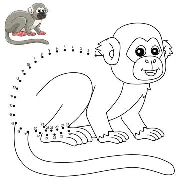 Dot to Dot Squirrel Monkey Isolated Coloring 스톡 일러스트