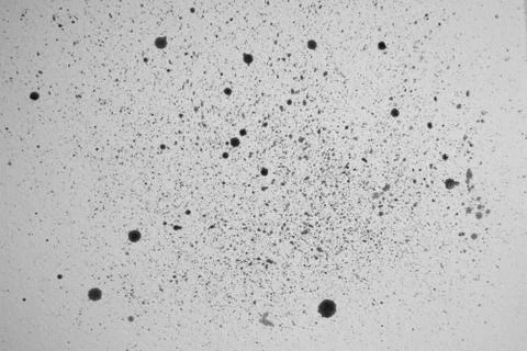 Dot image of ink on paper Stock-Fotos