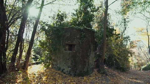 Dot Military Fortifications During the Second World War Stock Footage 120359480