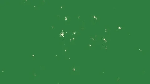 Dot Moving On Chroma Key For Compositing Stock Footage 338014969