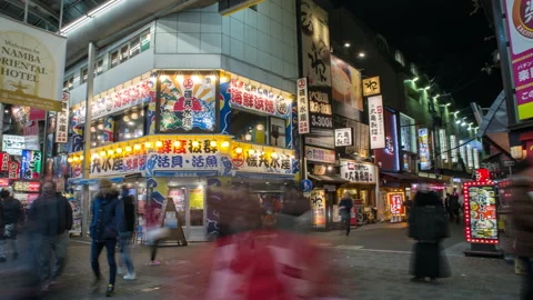 Dotonbori Timelapse Stock Footage 234685254