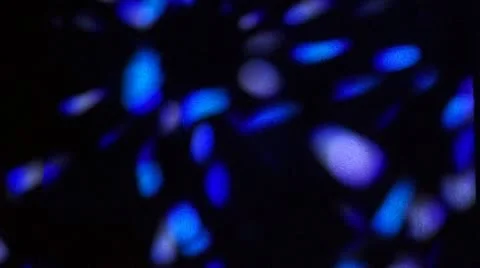 Dots Spinning and Changing Colors Video stock 11692948