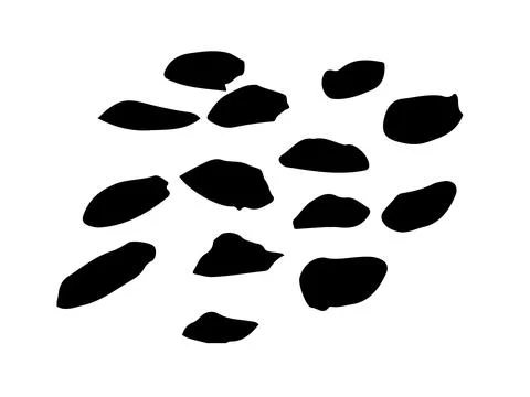 Dots Vector Abstract Blots Grunge Brush Hand Drawn Texture in Black Color Sketch Stock Illustration