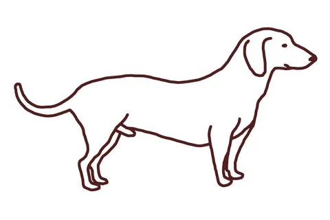 Dotson Dog. Digital Line Drawing. Stock Illustration