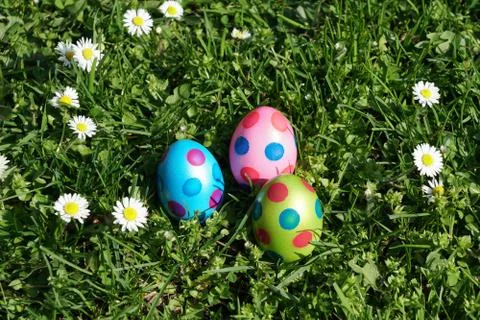 Dotted easter eggs and daisy flowers in grass meadow Stock Photos