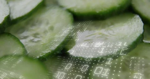 Dotted field appearing starting grid sweeping over cucumber slices pulsing Видео 328306851