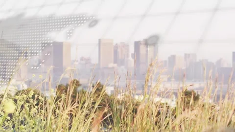 Dotted map shifting and code scrolling causing front grasses revealing skyline Stock Footage 322220696