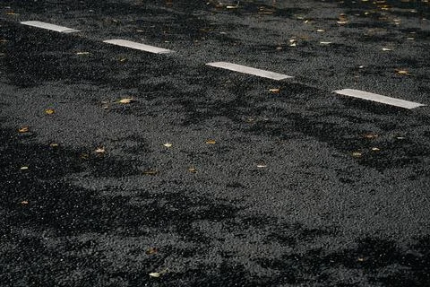 Dotted road markings Stock Photos