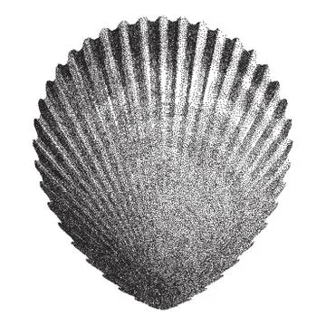 Dotted Scallop  Shell    - vector illustration Stock Illustration