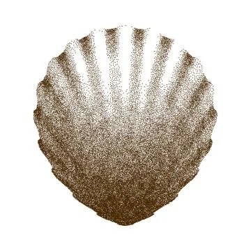 Dotted Scallop  Shell    - vector illustration Stock Illustration