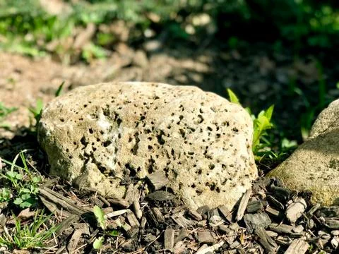 Dotted stone in the garden Stock Photos