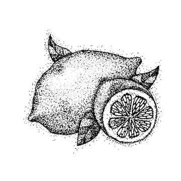 Dotwork Lemon Fruit Illustrazione stock