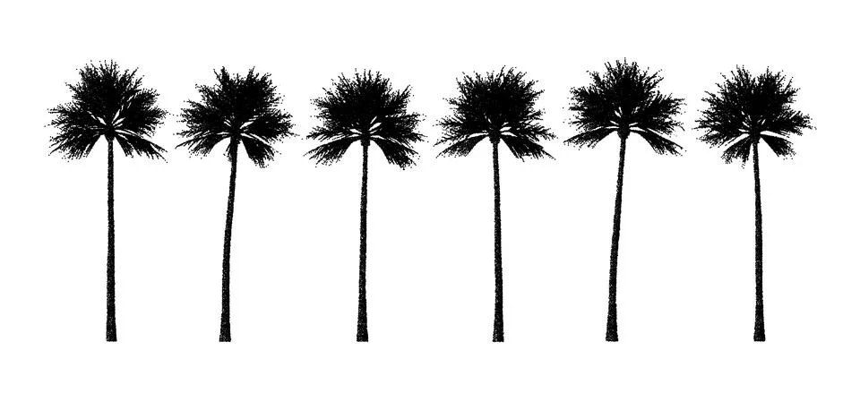 Dotwork palm tree silhouette collection. Set of tropical tree elements for Illustrazione stock