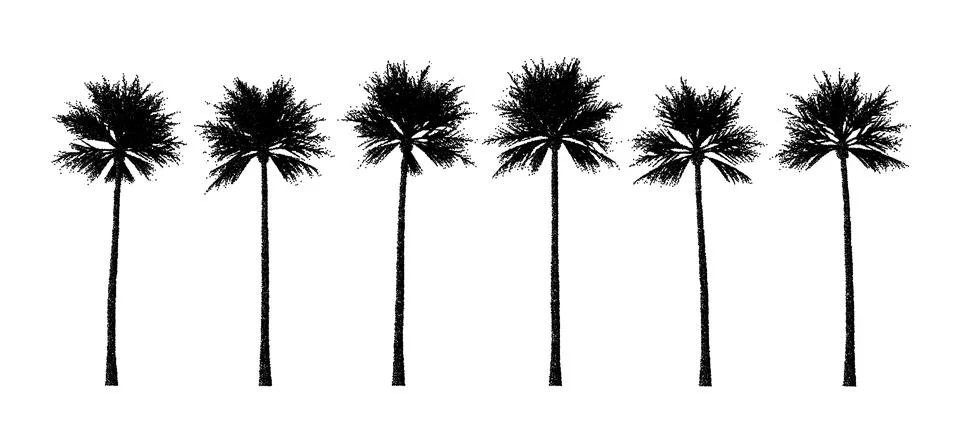 Dotwork palm tree silhouette collection. Set of tropical tree elements for Illustrazione stock