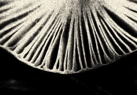 Dotwork styled tiny mushroom plates for cooking or kitchen retro styled Stock Illustration