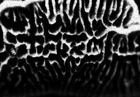 Dotwork styled tiny mushroom plates for cooking or kitchen retro styled Stock Illustration