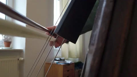 Double bass bow frontal Stock Footage 134839762