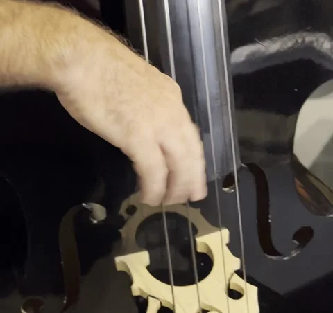 Double Bass clip Stock Footage 223405630