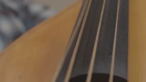 Double Bass Close Up Hand Picks String Slow Motion Video stock 205580469
