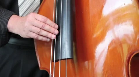 Double Bass HD Video stock 3677347