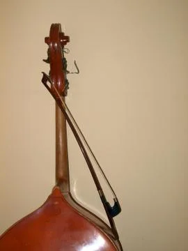 Double Bass 스톡 사진