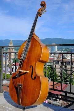 Double bass Stock-Fotos